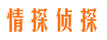 汝城市侦探公司